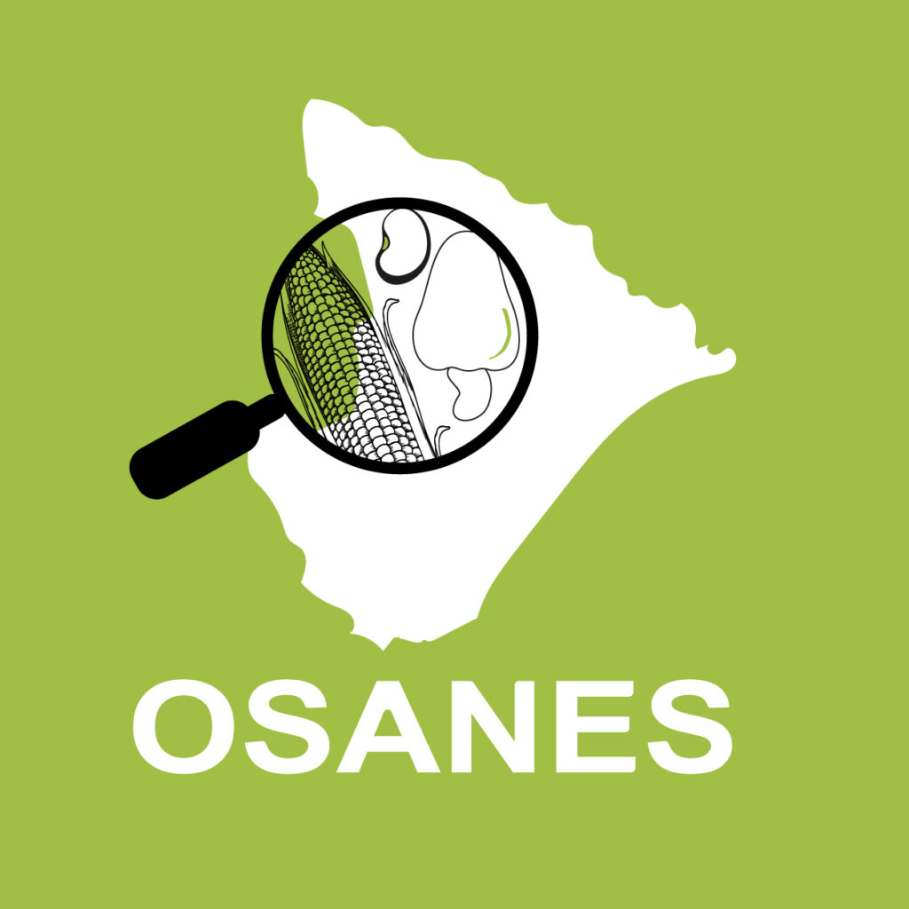 logoosanes_Prancheta 1